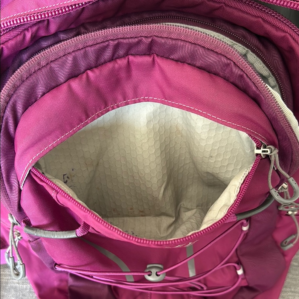Osprey Axis Backpack in Deep Plum - Picture 12 of 14
